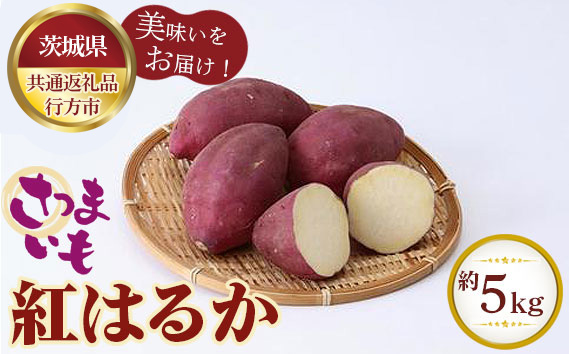 さつまいも　紅はるか　約5kg【茨城県共通返礼品 行方市】