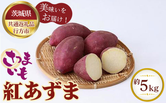 さつまいも　紅あずま　約5kg【茨城県共通返礼品 行方市】