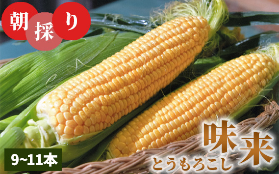 朝採りとうもろこし味来【期間限定】