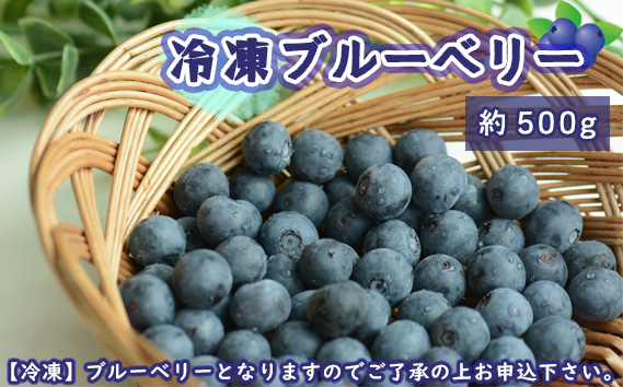 茨城県坂東市産 冷凍ブルーベリー 約500g【先行予約】