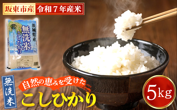令和7年産　無洗米こしひかり5kg【坂東市産】
