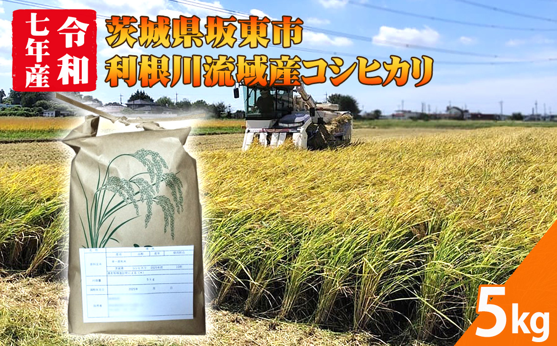 【令和7年米】茨城県坂東市利根川流域産コシヒカリ5kg