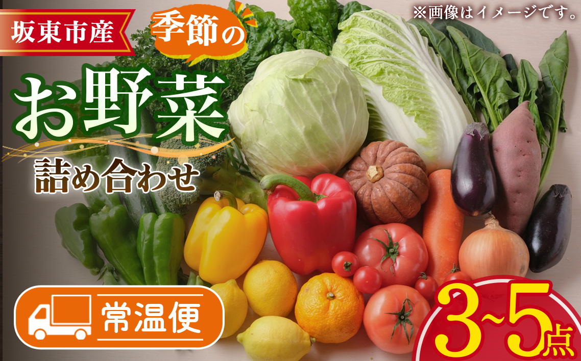 【坂東市産】季節のお野菜詰め合わせ