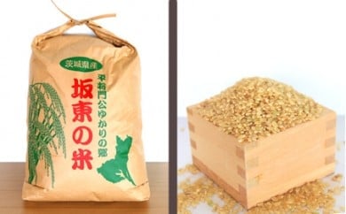 【令和7年産】茨城県坂東産　コシヒカリ20kg（玄米）