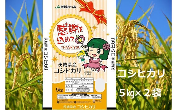 【令和7年産】茨城県産コシヒカリ10kg（5kg×2袋）精米 JA茨城むつみ