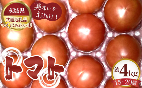 トマト　約4kg（15～20個）【茨城県共通返礼品 つくばみらい市】