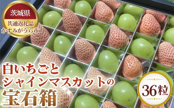 白いちごとシャインマスカットの宝石箱　36粒【茨城県共通返礼品 かすみがうら市】
