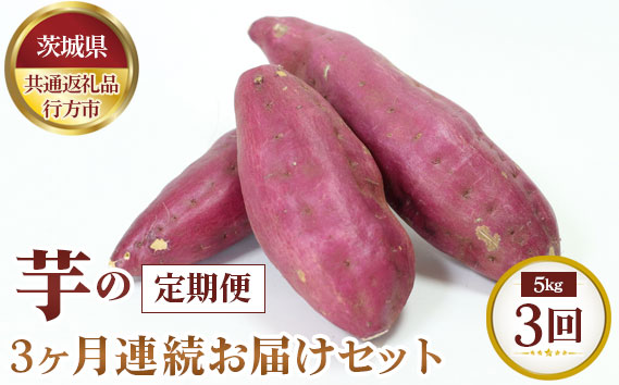 【先行予約】芋の3ヵ月連続お届けセット　約5kg×3回【茨城県共通返礼品 行方市】