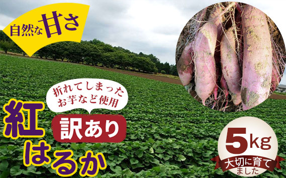 【訳あり】紅はるか5kg