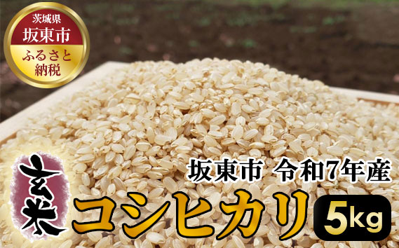 玄米　コシヒカリ5kg【令和7年産】