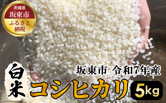 白米　コシヒカリ5kg【令和7年産】