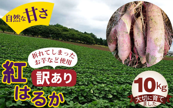 【訳あり】紅はるか10kg