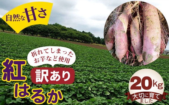 【訳あり】紅はるか20kg