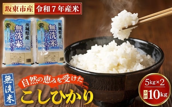 令和7年産　無洗米こしひかり10kg【坂東市産】
