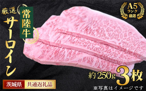 【常陸牛】A5ランク厳選サーロイン（ステーキ用）約250g×3枚＜茨城県共通返礼品＞