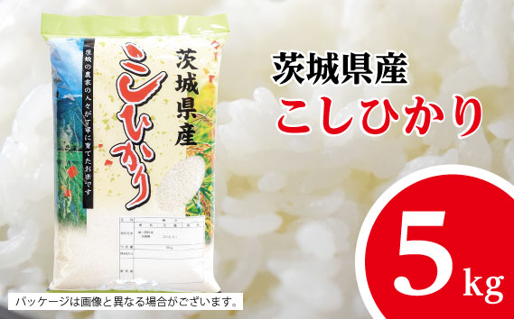 【坂東市産】【令和7年産米】茨城コシヒカリ5kg