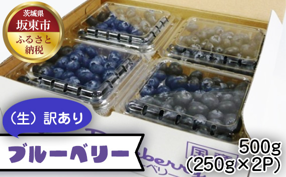 茨城県産　坂東市（生）訳ありブルーベリー500g（250g×2P）