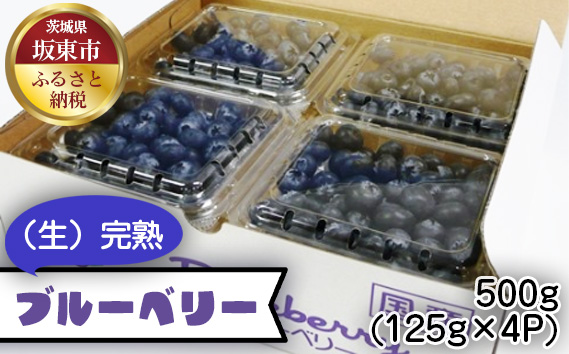 茨城県産　坂東市（生）完熟ブルーベリー500g（125g×4P）