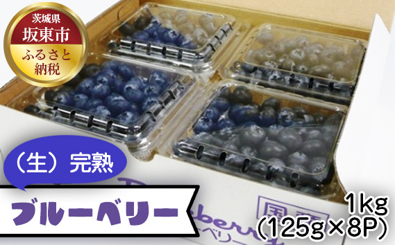 茨城県産　坂東市（生）完熟ブルーベリー1kg（125g×8P）