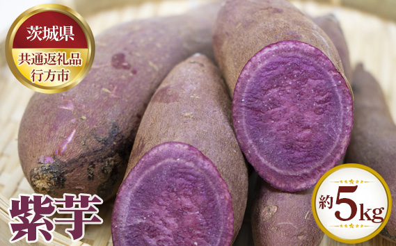 【先行予約】紫芋　約5kg【茨城県共通返礼品 行方市】