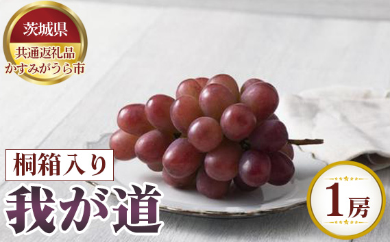 【先行予約】我が道　桐箱入り1房【茨城県共通返礼品 かすみがうら市】