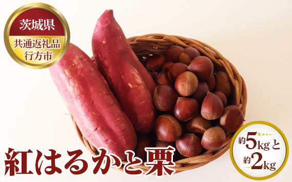 【先行予約】紅はるか 約5kgと栗 約2kg【茨城県共通返礼品 行方市】