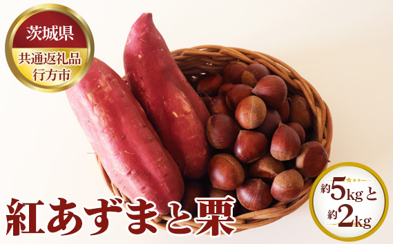 【先行予約】紅あずま 約5kgと栗 約2kg【茨城県共通返礼品 行方市】