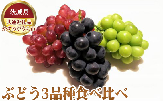 【先行予約】ぶどう3品種食べ比べ【茨城県共通返礼品 かすみがうら市】