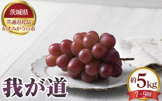 【先行予約】我が道　約5kg（7～9房）【茨城県共通返礼品 かすみがうら市】