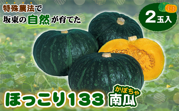特殊農法で坂東の自然が育てた「ほっこり133南瓜」2玉入