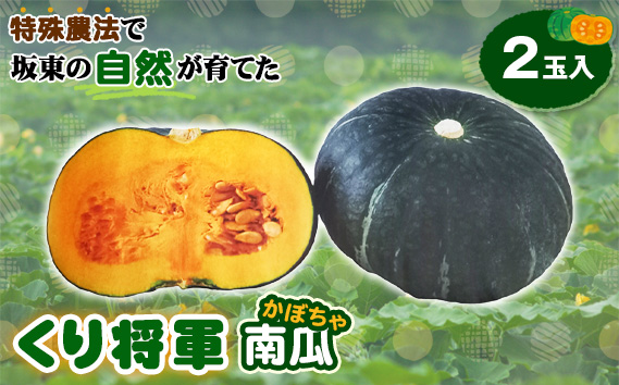 特殊農法で坂東の自然が育てた「くり将軍南瓜」2玉入