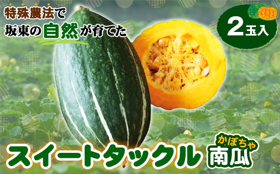 特殊農法で坂東の自然が育てた「スイートタックル南瓜」2玉入