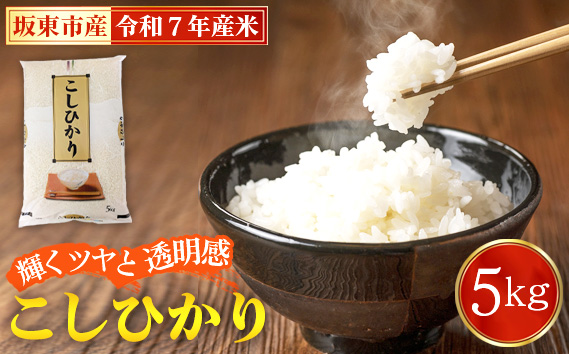 令和7年産　こしひかり5kg【坂東市産】