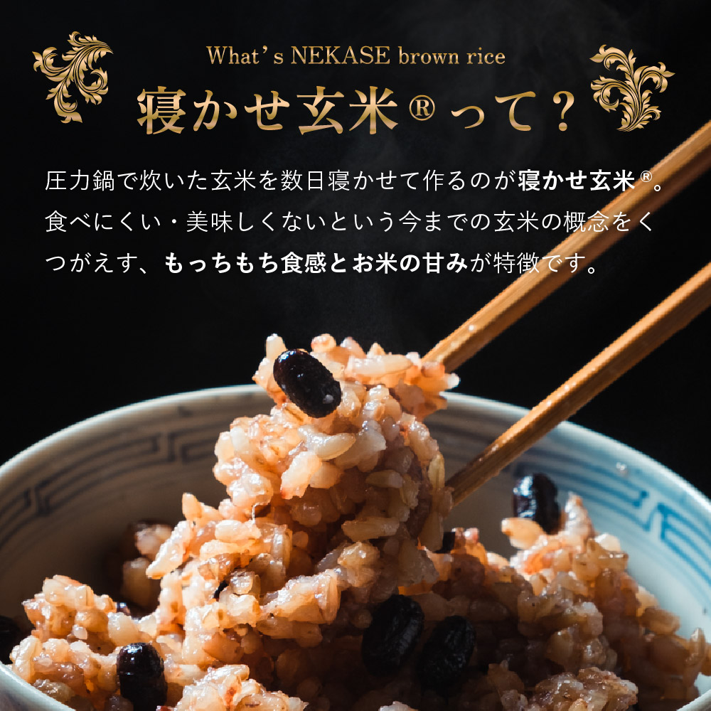 寝かせ玄米ごはんパック もち麦ブレンド 160g×24食｜玄米 常温保存 パックご飯 備蓄 一人暮らし レトルト もち麦 雑穀 [1612]
