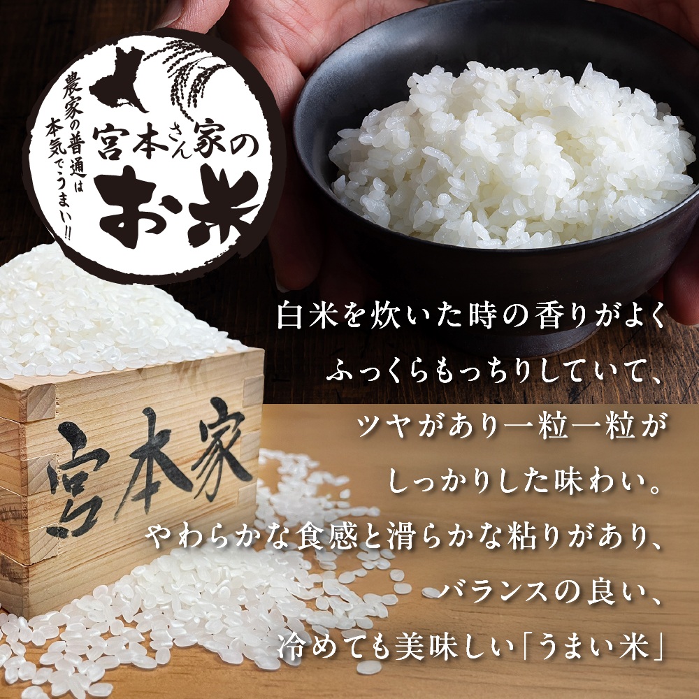 新米 【令和7年産】茨城県稲敷市産 宮本さん家のこしひかり 5kg×1袋｜米 おこめ コシヒカリ 精米 農家直送 直送 茨城県 [1651]
