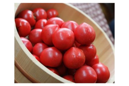 根本さん家のこだわりフルーツトマト 約2kg｜甘い 大玉 とまと フルーツ 糖度 [1993]