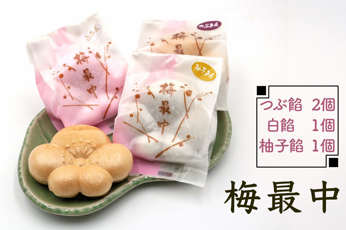 東郷菓子舗 お菓子セット｜和菓子 スイーツ 最中 まんじゅう パイ かぼちゃ 梅栗 饅頭 ギフト 贈り物 [0114]