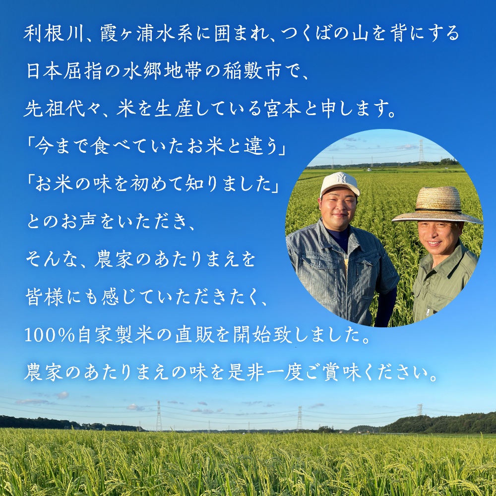 新米 【令和7年産】茨城県稲敷市産 宮本さん家のこしひかり 10kg×1袋 ｜米 おこめ コシヒカリ 精米 農家直送 直送 茨城県 [1653]