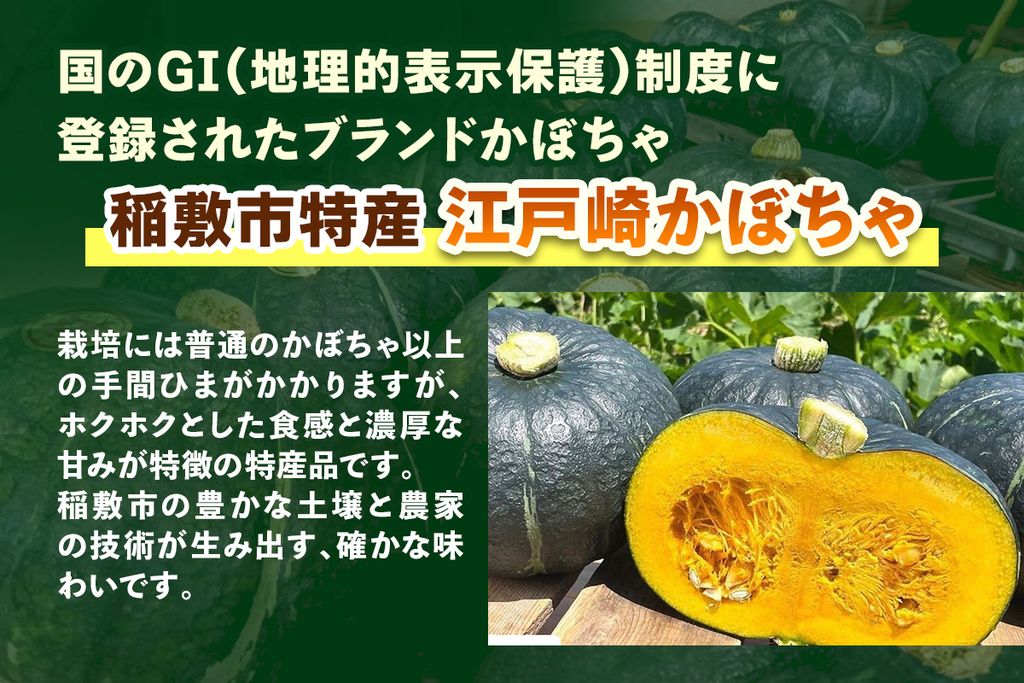 江戸崎かぼちゃを使った「かぼちゃジェラート」6個セット｜稲敷市特産 特産 江戸崎かぼちゃ ジェラート かぼちゃスイーツ 濃厚アイス かぼちゃ ひんやりデザート ギフト [1663]