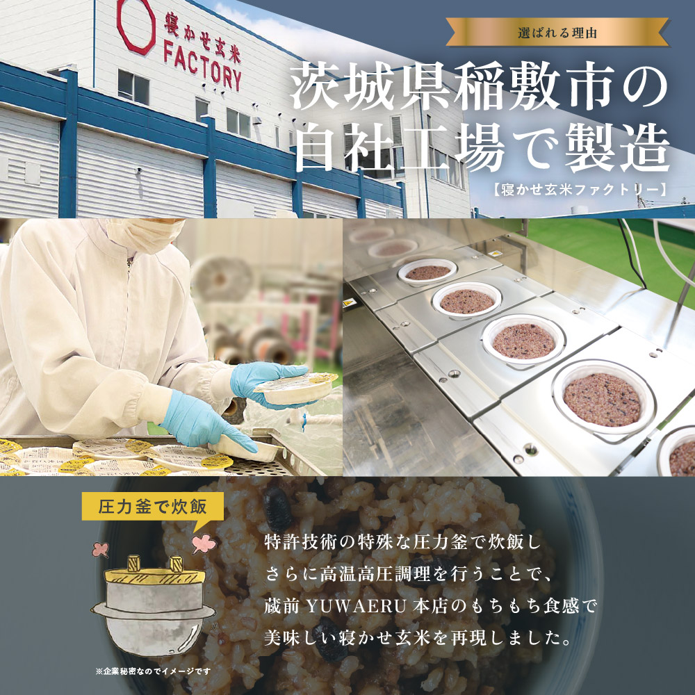 寝かせ玄米ごはんパック 4種ミックス 160g×6食 (小豆ブレンド／黒米ブレンド 各2食、もち麦ブレンド／十五穀ブレンド 各1食)｜玄米 常温保存 パックご飯 備蓄 一人暮らし レトルト 雑穀 [1731]