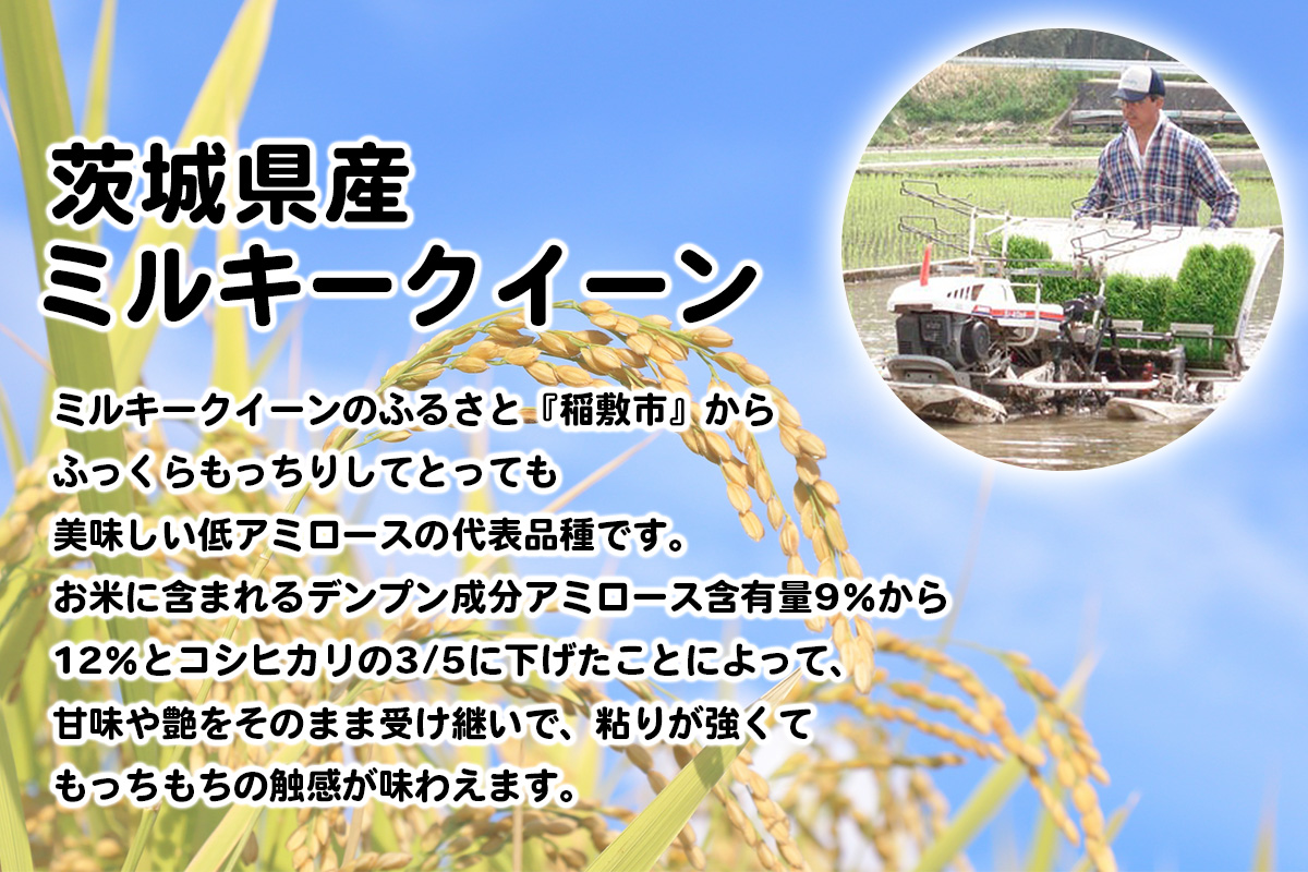 新米【令和7年産】ふっくらもっちり 茨城県産 ミルキークイーン 白米 10kg (5kg×2袋)｜お米 おこめ 精米 直送 稲敷 茨城 [1800]