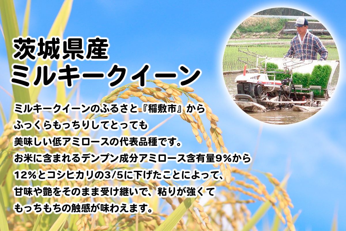 新米【令和7年産】ふっくらもっちり 茨城県産 ミルキークイーン 白米 5kg×1袋｜お米 おこめ 精米 直送 稲敷 茨城 [1817]