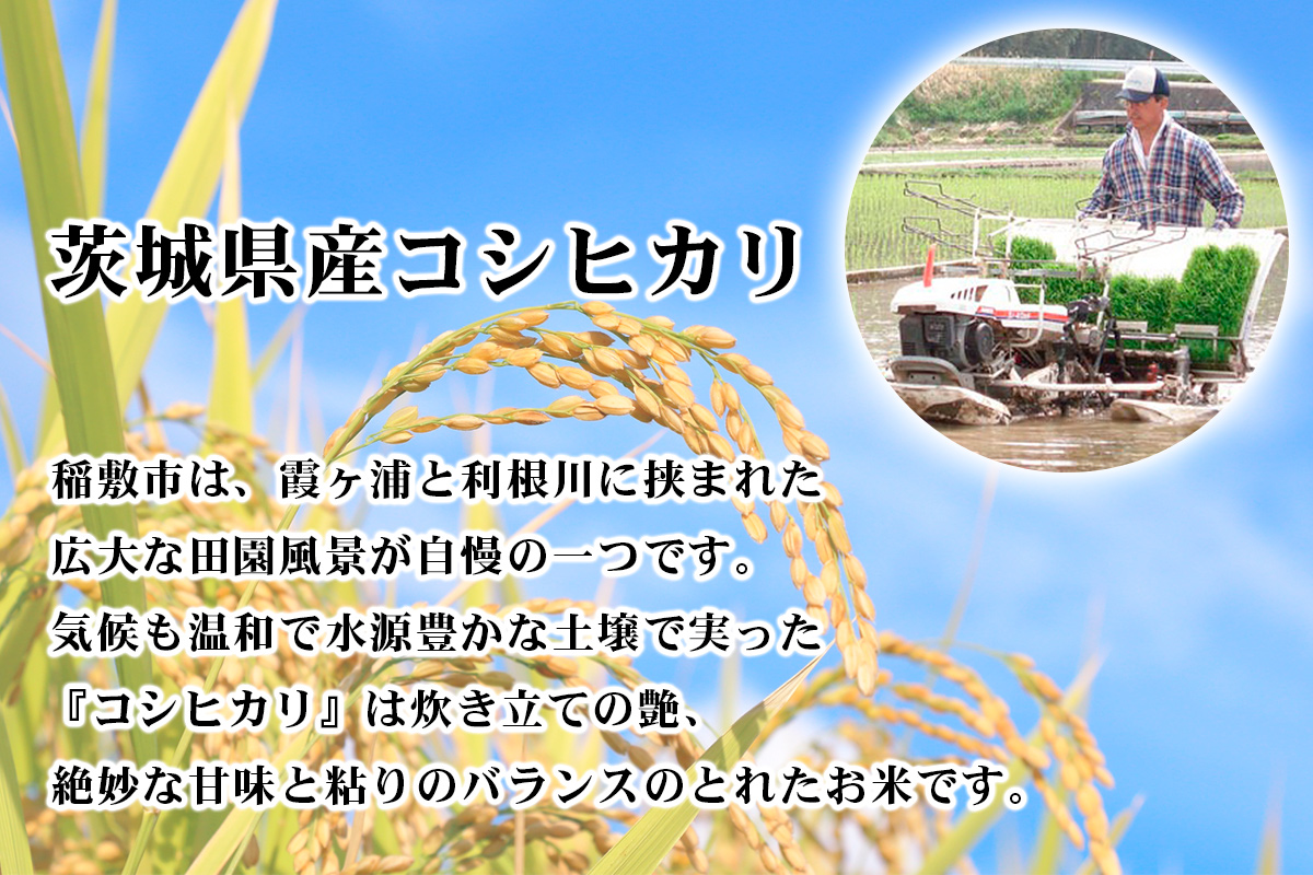 【定期便／3ヶ月 令和7年産】コシヒカリ 白米 計15kg (5kg×1袋×3ヶ月) 茨城県産 お米の王様！｜おこめ 精米 こしひかり 直送 稲敷 茨城 [1972]
