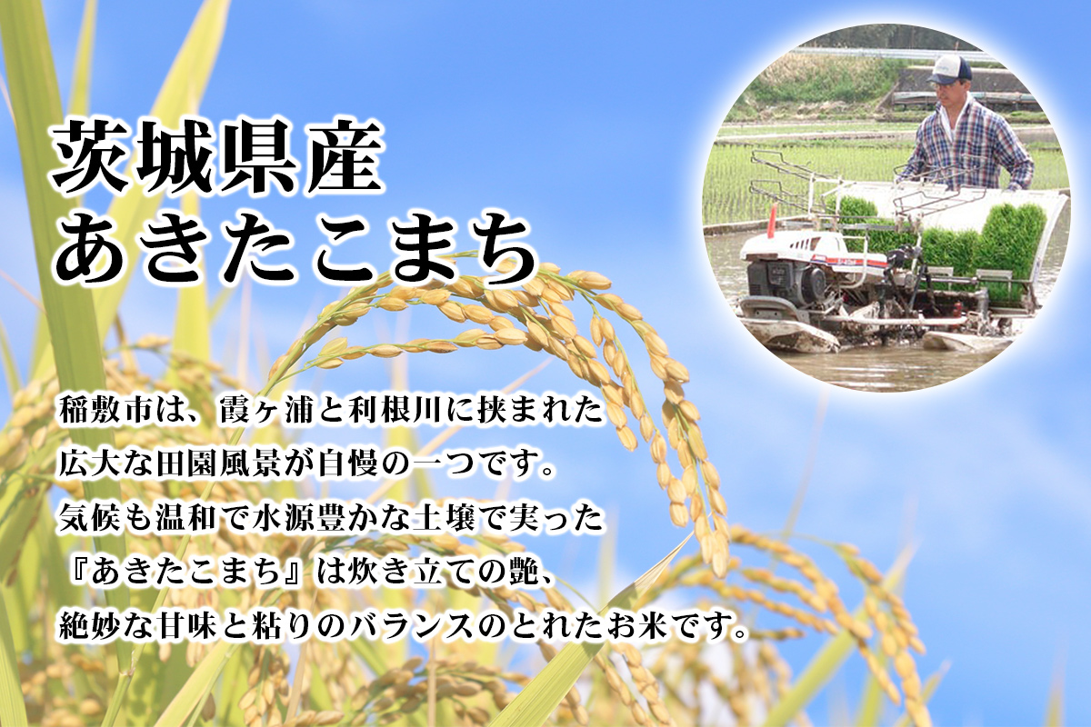 新米【令和7年産】あきたこまち 白米 5kg×1袋 茨城県稲敷市産｜おこめ 精米 直送 お米 産地 茨城 稲敷 [1821]