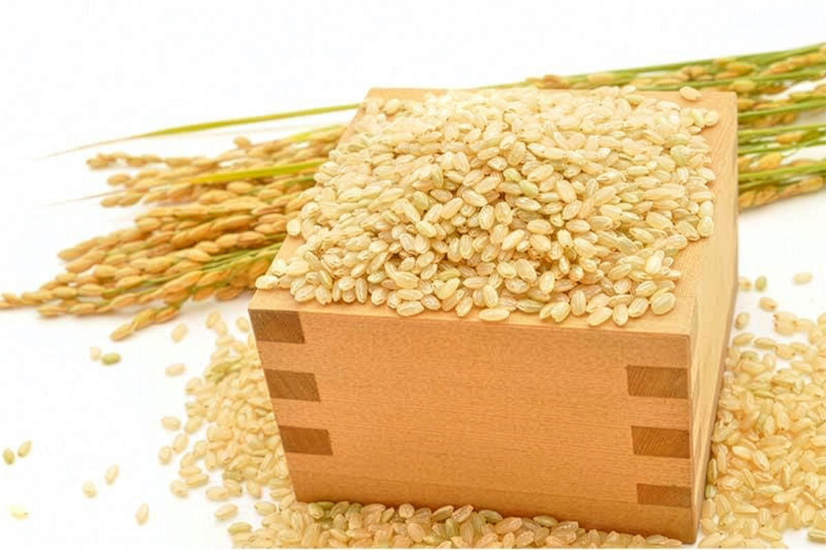 【定期便／3ヶ月 令和7年産】特別栽培米 コシヒカリ 10kg (5kg×2袋)×3回｜産地 直送 白鷺の里 あずま米 こしひかり 茨城県 稲敷市 [1908]