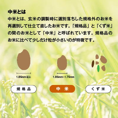 【令和7年産／精米】稲敷市産 厳選ブレンド米 計10kg (5kg×2袋)《自社栽培・自社精米で一貫生産》｜ブレンド 米 こめ コメ ごはん ご飯 直送 稲敷 茨城 [1960]