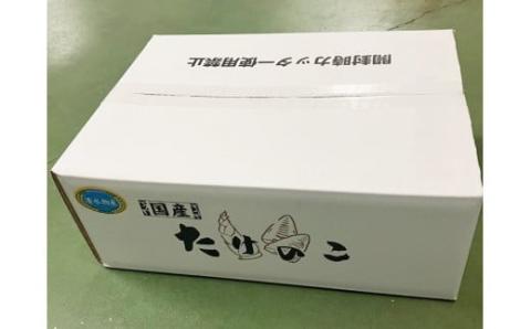 工場直送！国産 筍水煮 1ケース (20袋) [0779]