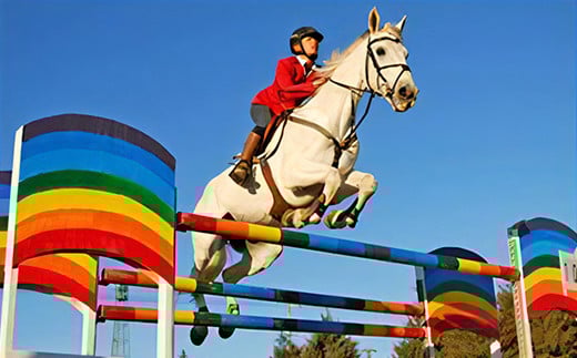 乗馬レッスン・マスター10回コース [0380]