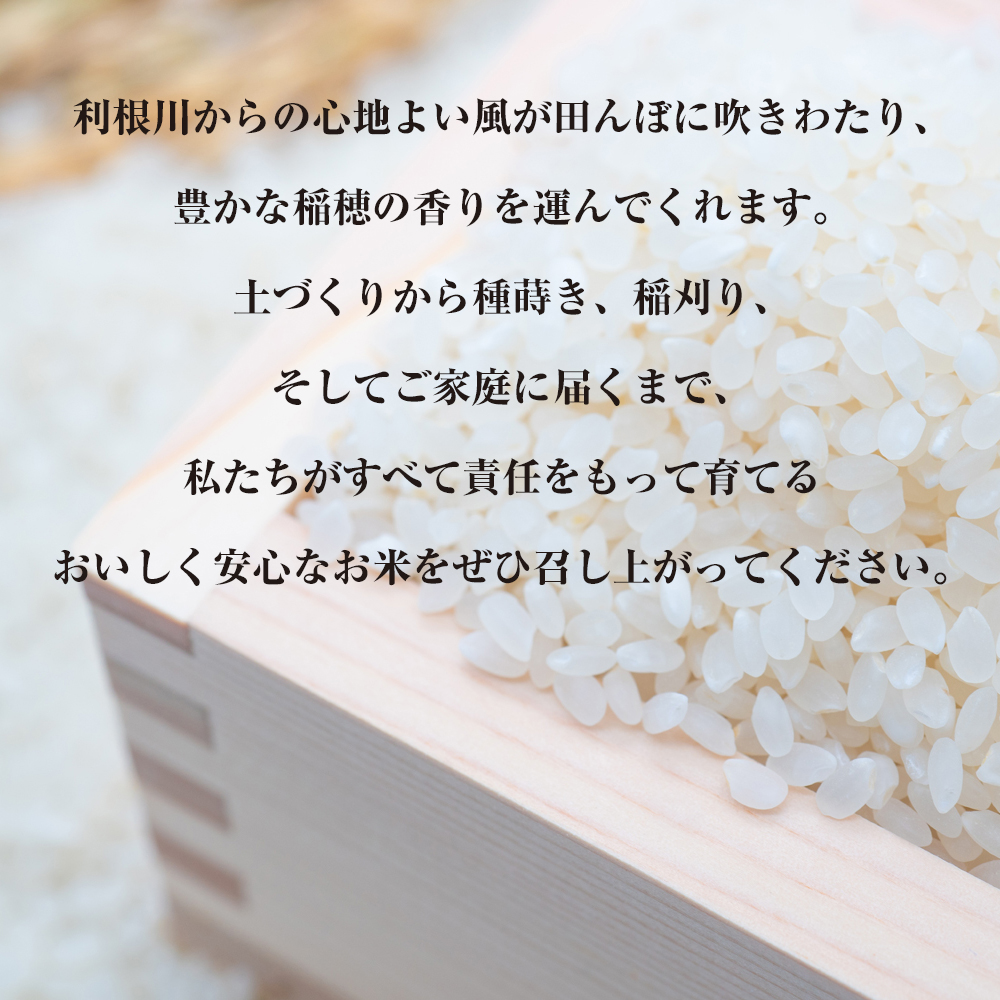 【令和7年産】無洗米 コシヒカリ 20kg (5kg×4) 稲敷市産 農家直送｜こしひかり 米 こめ コメ ごはん ご飯 [1979]