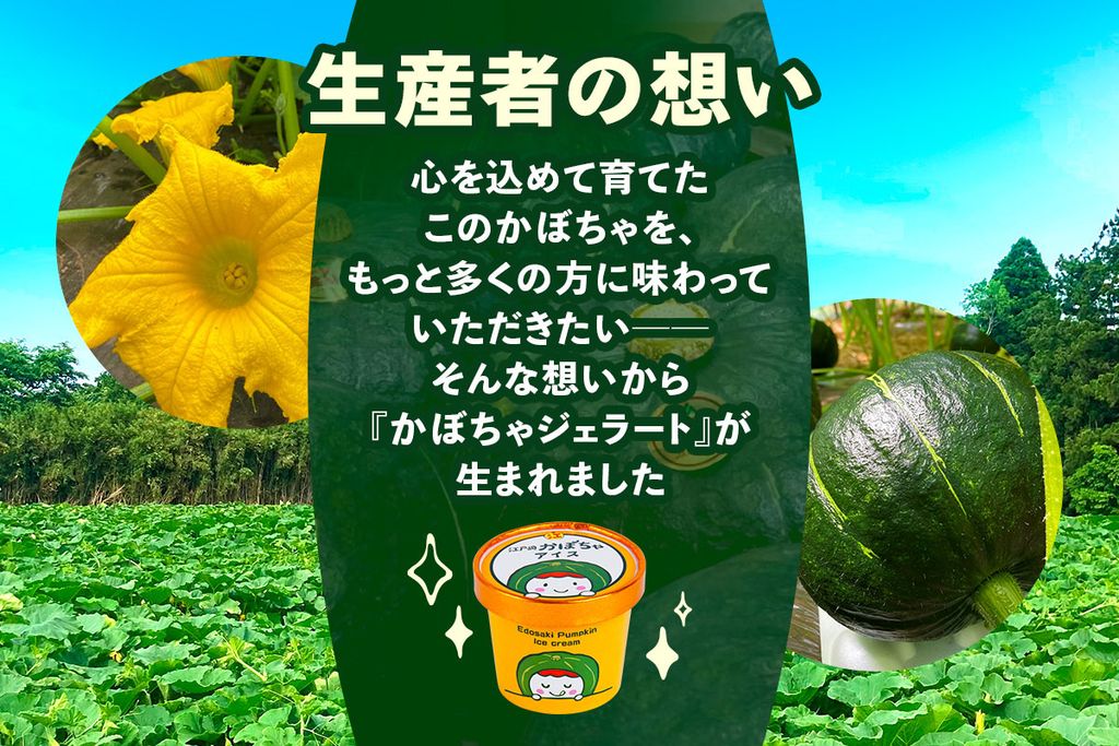 江戸崎かぼちゃを使った「かぼちゃジェラート」6個セット｜稲敷市特産 特産 江戸崎かぼちゃ ジェラート かぼちゃスイーツ 濃厚アイス かぼちゃ ひんやりデザート ギフト [1663]